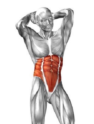 Abs Workout