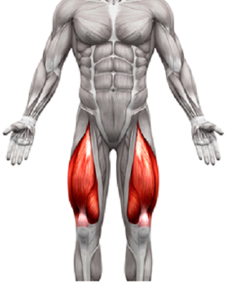 Legs Workout