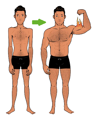 Muscle Gain (Men)